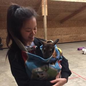 Meet your Posher, Imogen